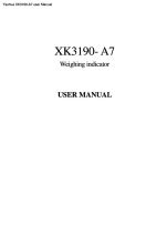 XK3190-A7 user